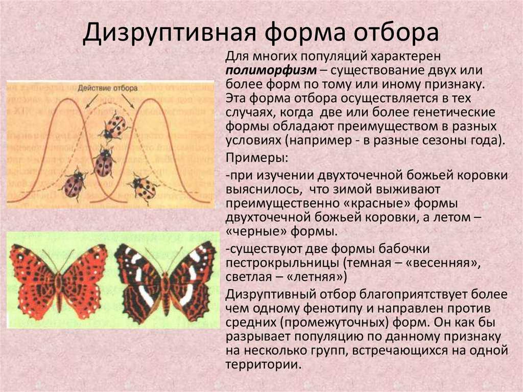 Гдз решебник учебник (базовый уровень) биология 11 класс пономарева