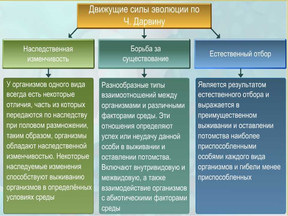 Гдз по биологии 11 класс учебник пасечник, каменский, рубцов