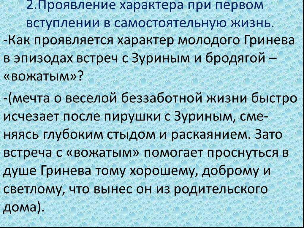Как отблагодарил гринёв вожатого?