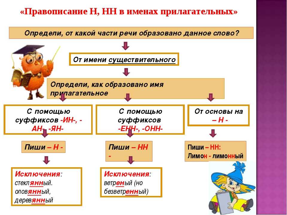 Правило н нн в суффиксах прилагательных причастий и наречий 8 класс (2 видео) | история русского языка 📕