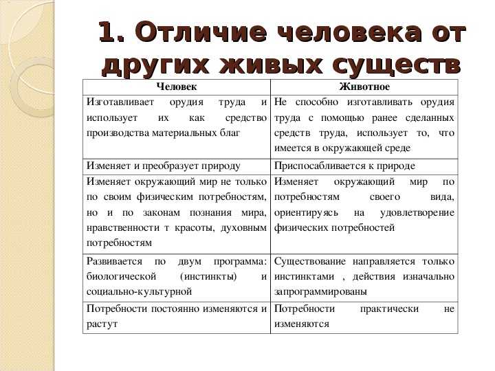 8 класс. обществознание. термины. | изучаем вместе
