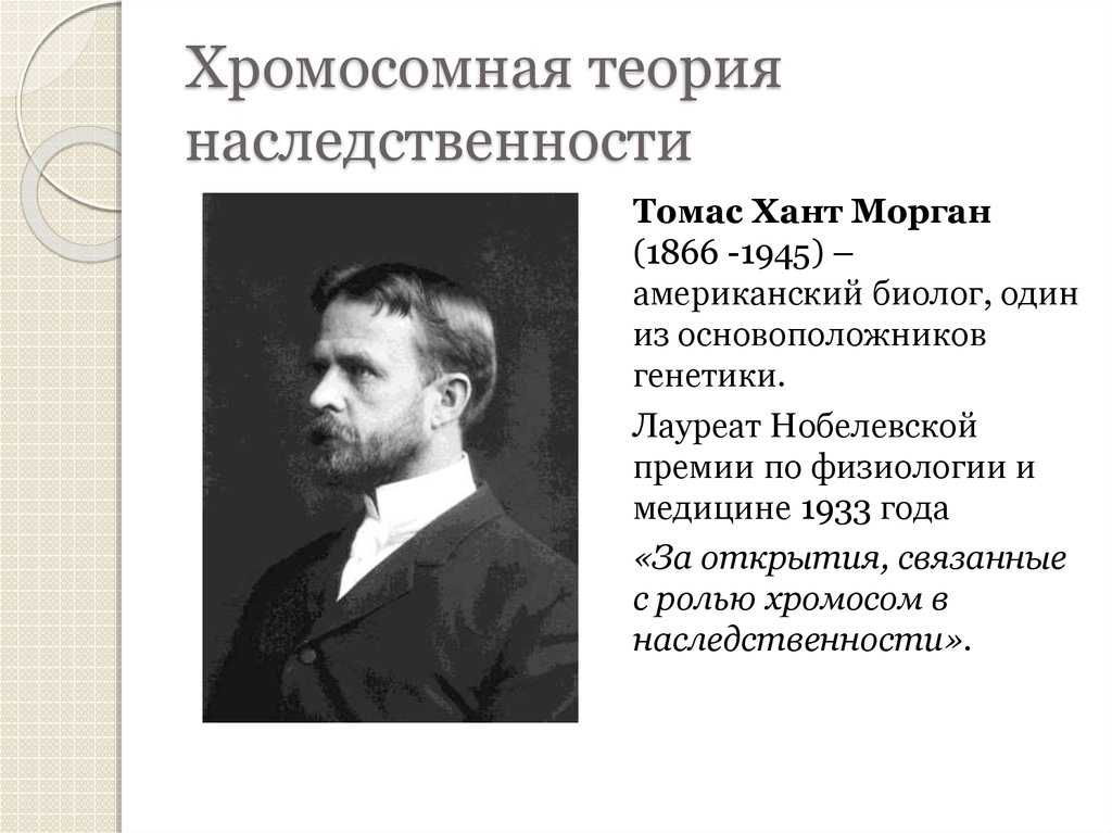 Сцепленное наследование. основные положения хромосомной теории наследственности
