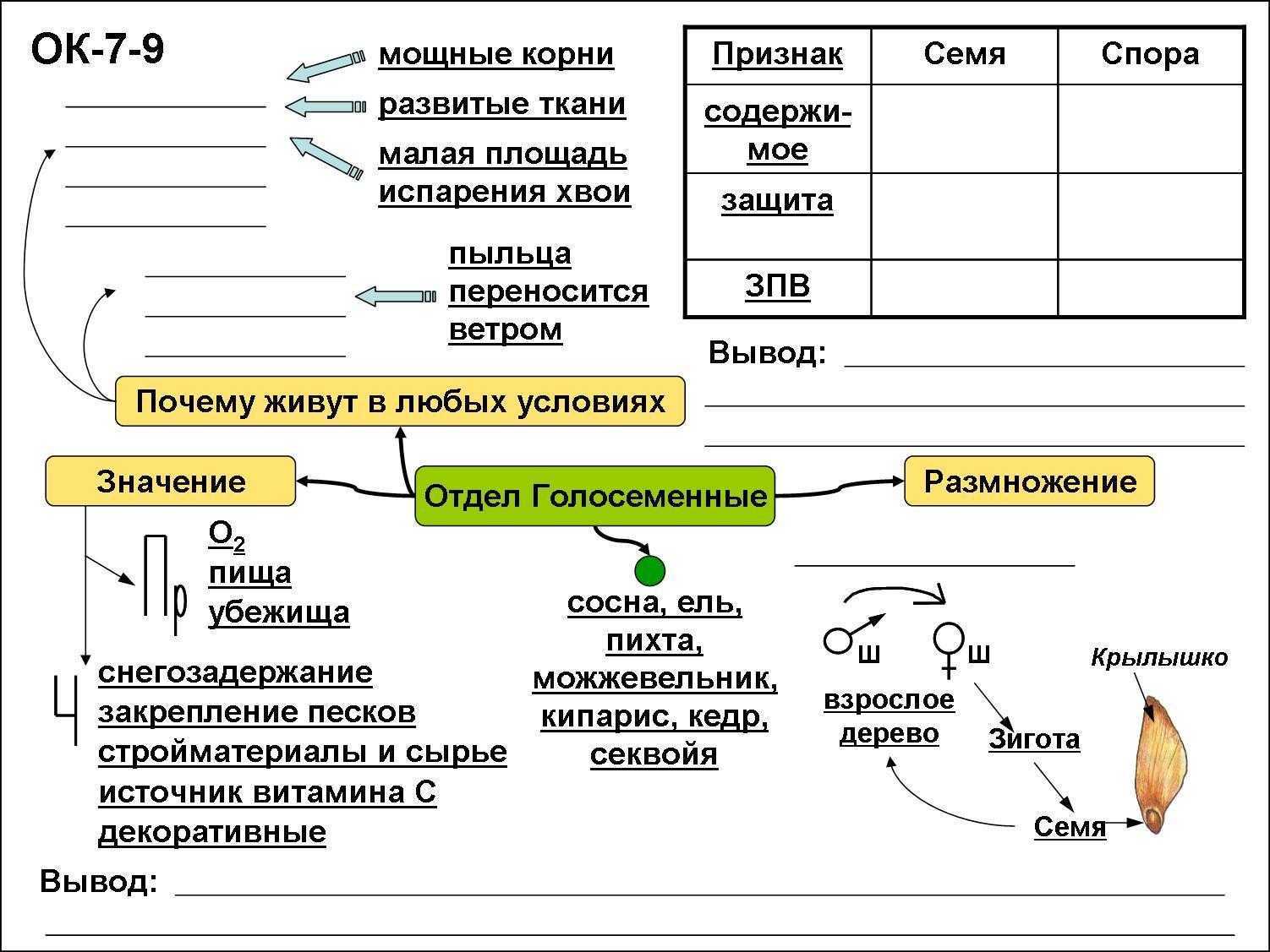 Параграф 16 - естествознание. 11 класс. габриелян о. с.