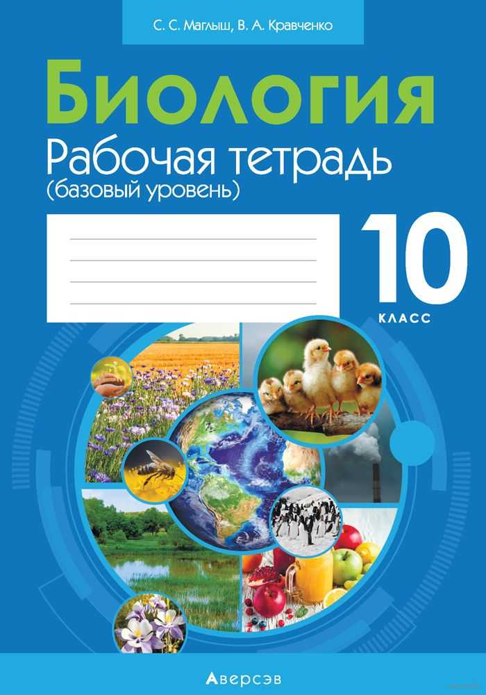 Углеводы и их роль в жизнедеятельности клетки 10 класс онлайн-подготовка на ростелеком лицей | тренажеры и разбор