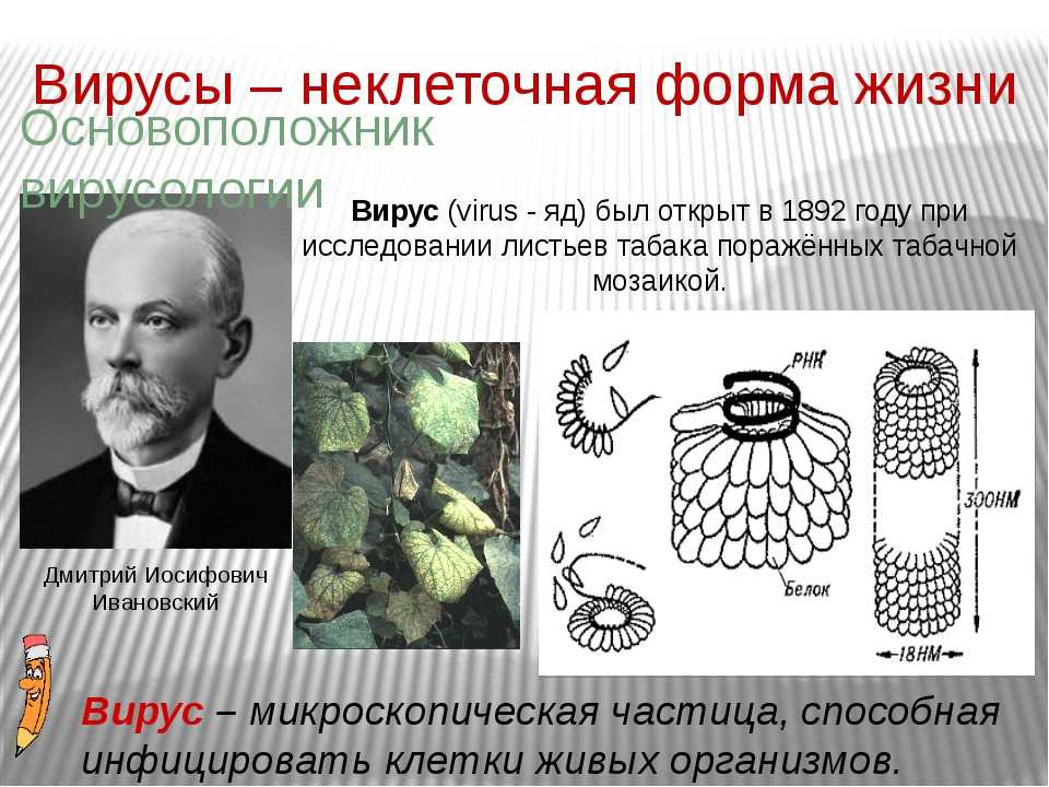 Гдз решебник по биологии 10 класс пасечник, швецов рабочая тетрадь дрофа