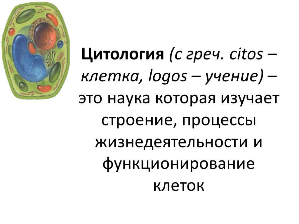 Гдз по биологии 5 класс пасечник, суматохин, учебник просвещение 2023