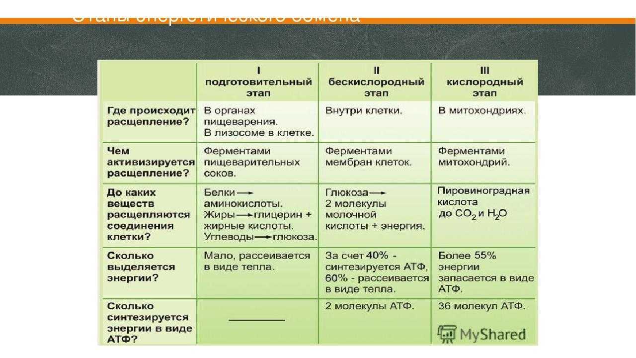 Гдз по биологии 10 класс учебник пасечник, каменский, рубцов