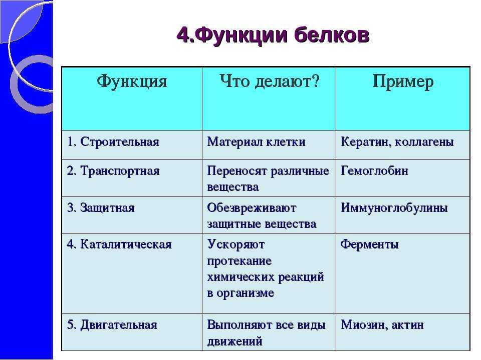 Гдз биология 10 класс пасечник, швецов - рабочая тетрадь