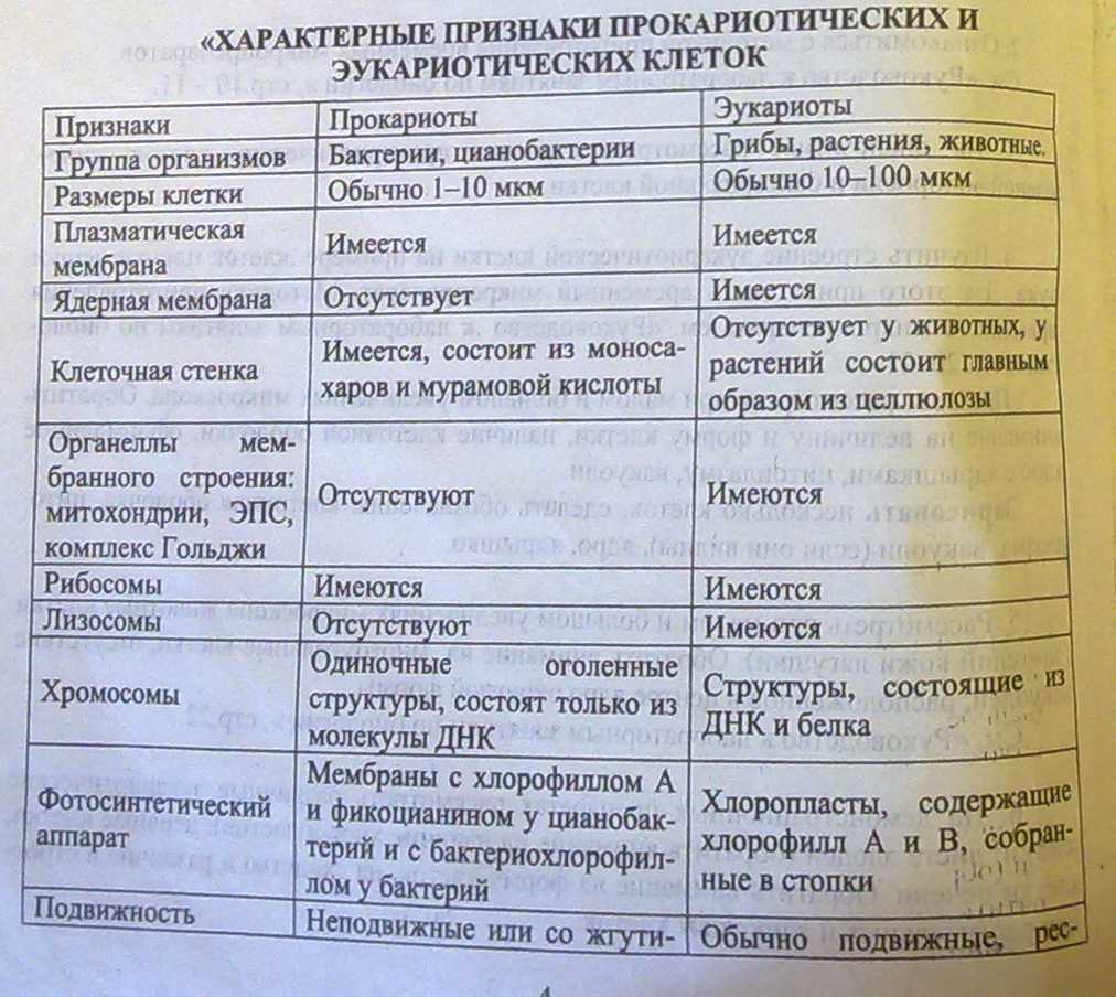 Ответы на вопросы к параграфам по биологии за 9 класс пасечник