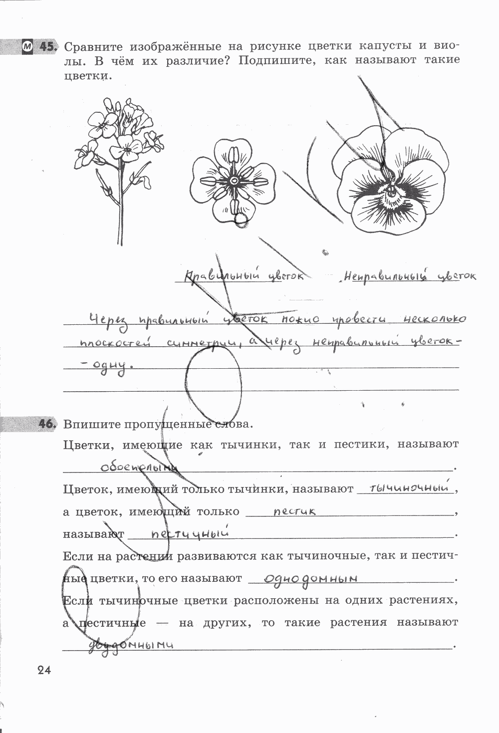 Гдз решебник по биологии 9 класс пасечник, швецов рабочая тетрадь просвещение