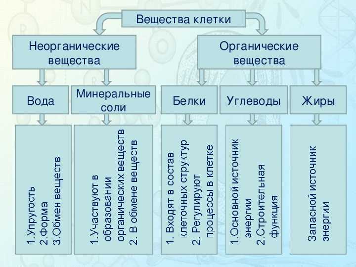 Гдз по биологии 10 класс