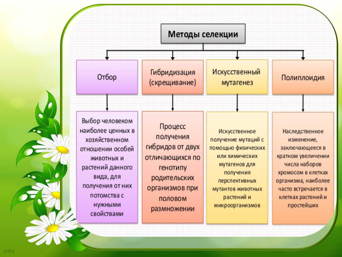 Гдз по биологии 9 класс пасечник рабочая тетрадь ответы – гдз решебник рабочая тетрадь по биологии 9 класс пасечник, швецов