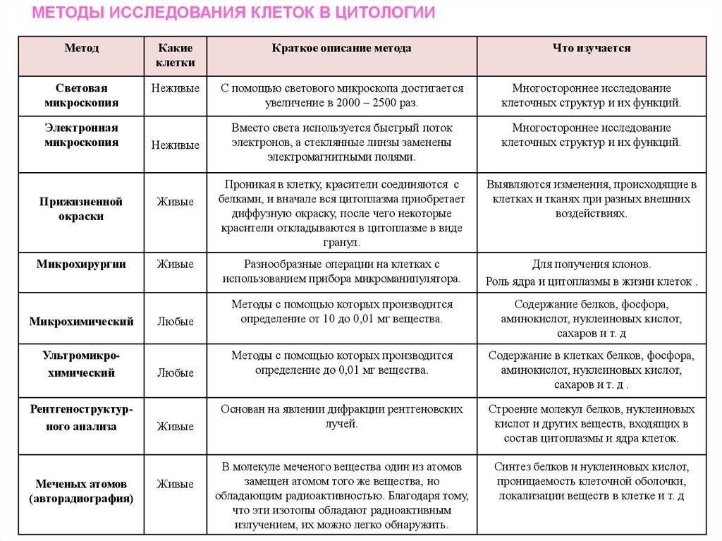 Ответы на вопросы к параграфам по биологии за 9 класс пасечник