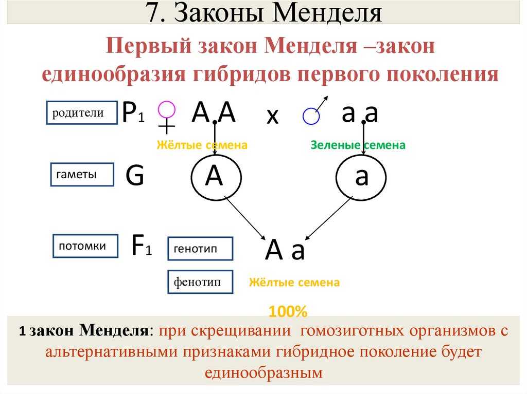 Каменский, пасечник - общая биология (гдз)