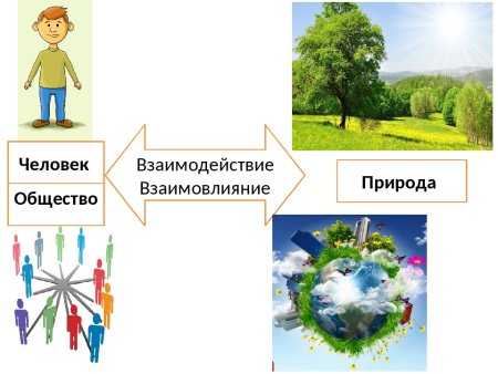 Гдз учебник по обществознанию 8 класс боголюбов академический школьный учебник