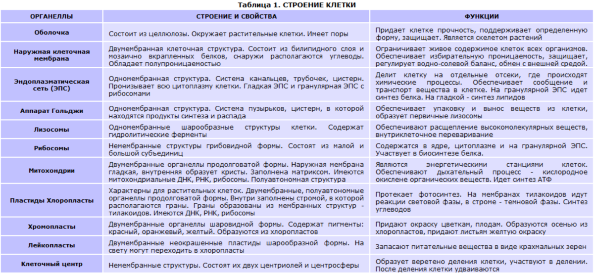 Заклятие смотреть онлайн бесплатно фильм в хорошем качестве