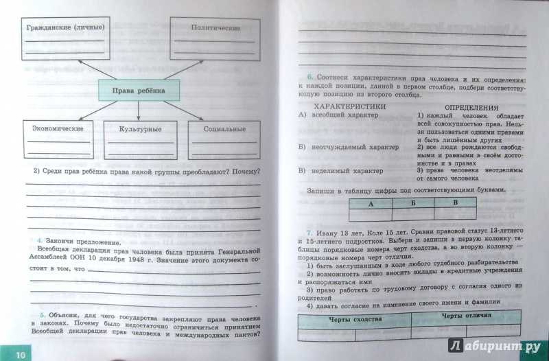 Экономика и её основные участники. обществознание