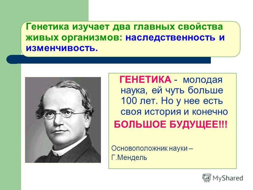 Генетика: история развития, основные понятия и законы генетики