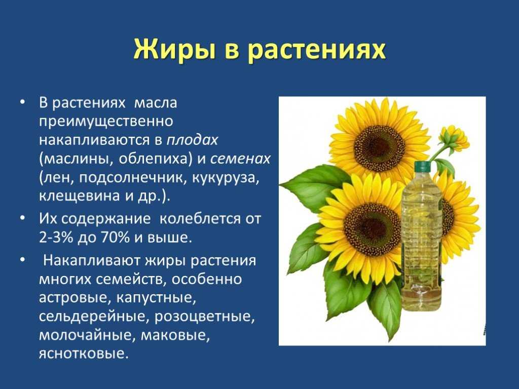 ГДЗ учебник по биологии 10 класс Линия Жизни Пасечник 10 Подумайте Номер 1 Почему в запасных тканях семян растений эндосперме, семядолях, даже очень богатых углеводами или жирами, обязательно присутствуют белки