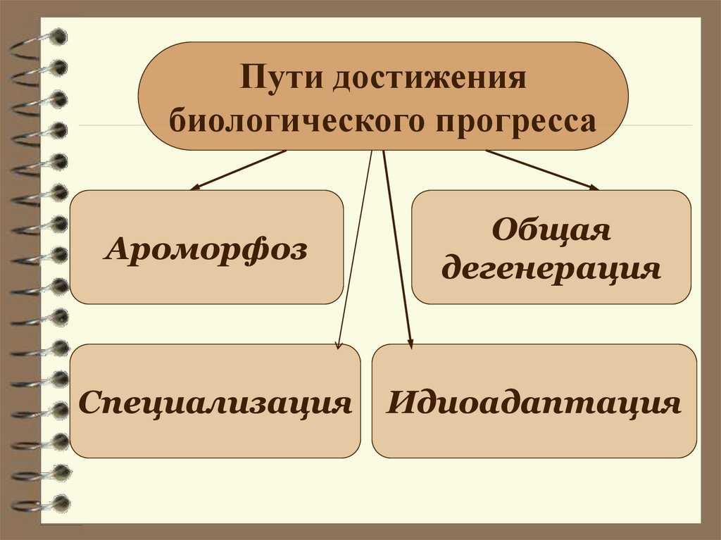 Гдз руководство по биологии зайцева красных лернер 5 класс - большая энциклопедия инструкций и руководств