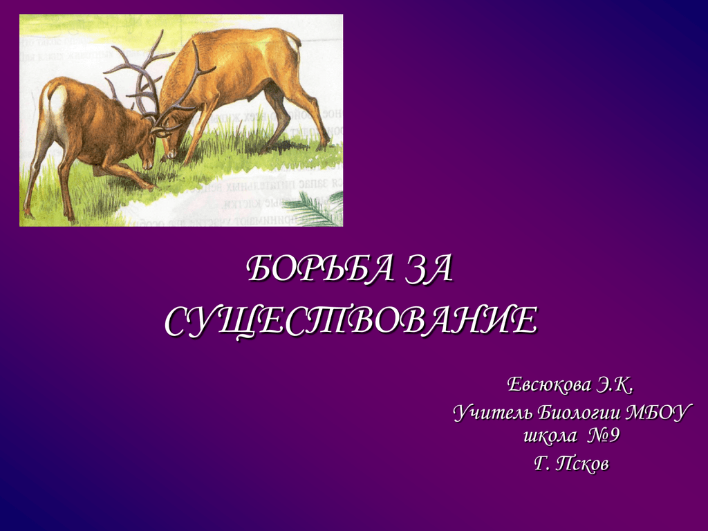 Три формы борьбы за существование по дарвину > лаборатория фитоинвазий