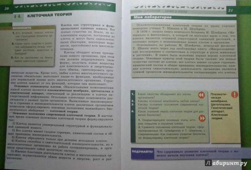 Ответы к §39 экология как наука гдз к учебнику биологии пасечник 9 класс - страница 40