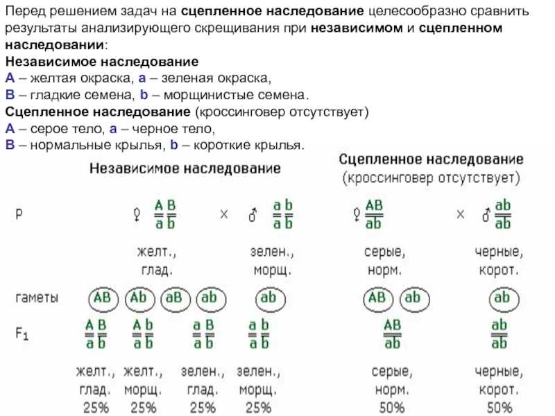 Биология пасечник учебник §19