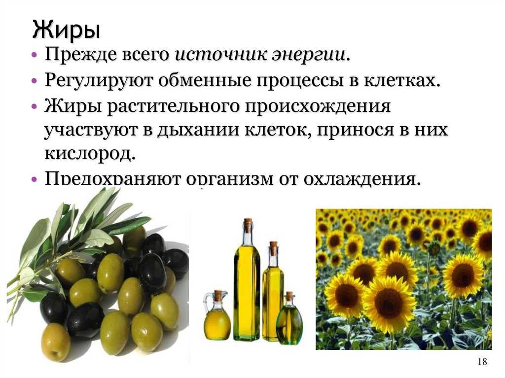 Семя