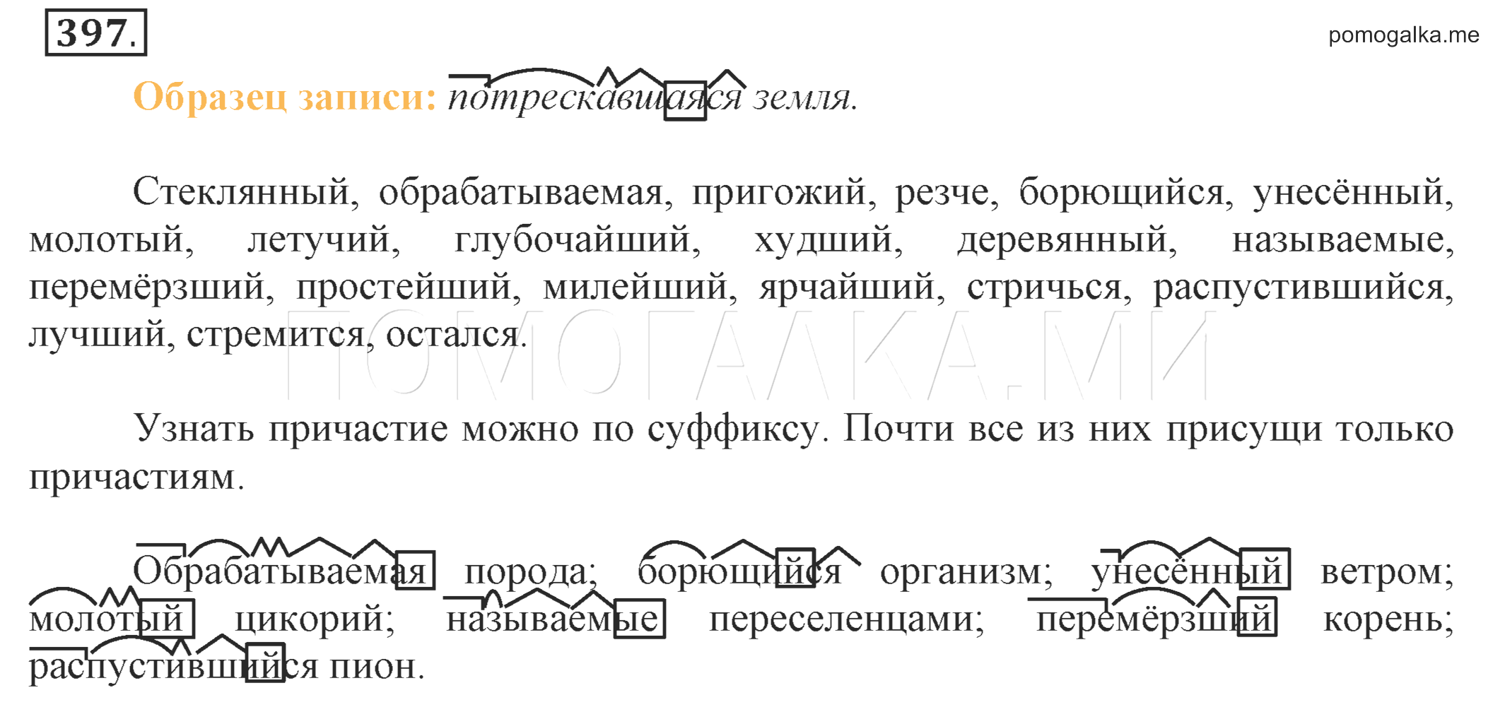 Гдз и ответы по русскому языку 8 класс учебник бархударов