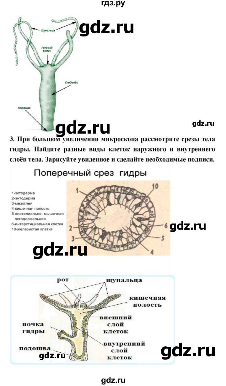 Гдз по биологии 9 класс учебник пасечник, каменский, швецов