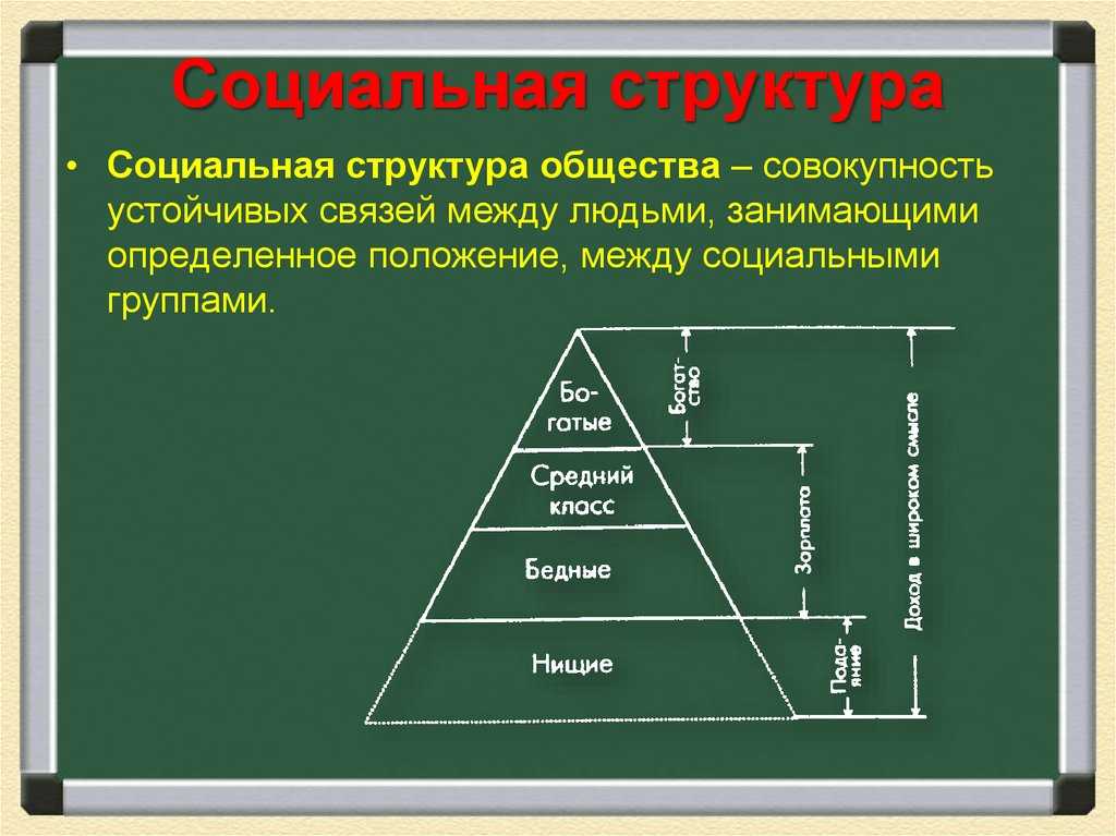 Социальная структура общества. обществознание 8 класс. боголюбов