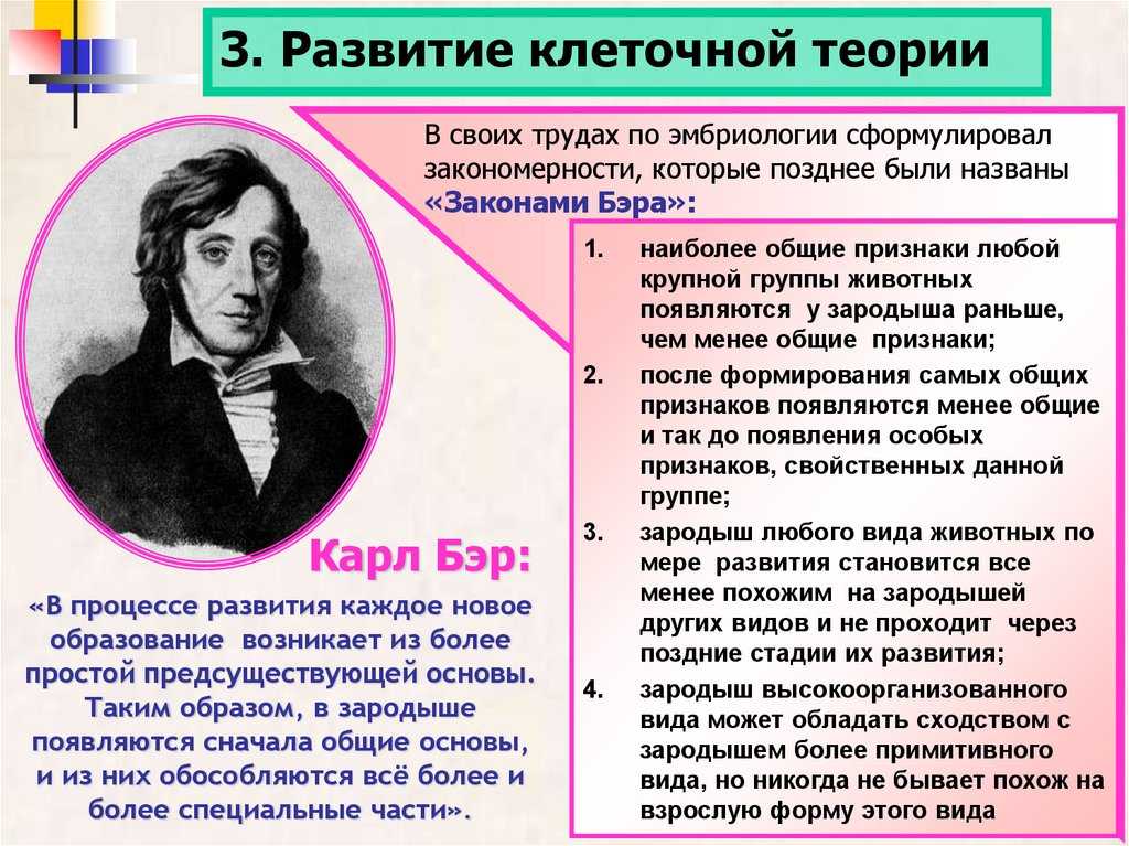 Цитология - наука, изучающая клетку 9 класс онлайн-подготовка на ростелеком лицей | тренажеры и разбор заданий