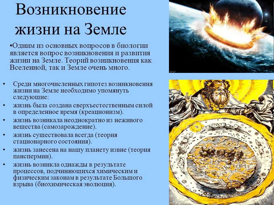 Гдз биология 9 класс пасечник, швецов - рабочая тетрадь к учебнику пасечника, швецова