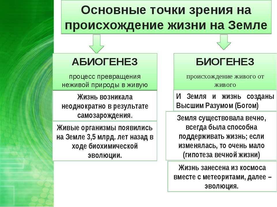 Гдз по биологии 5 класс учебник пасечник, суматохин, гапонюк