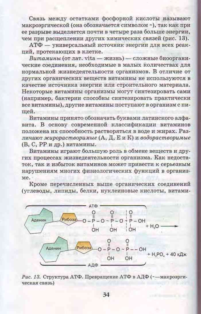 Учебник по биологии за 10 класс линия жизни пасечник, каменский фгос базовый уровень