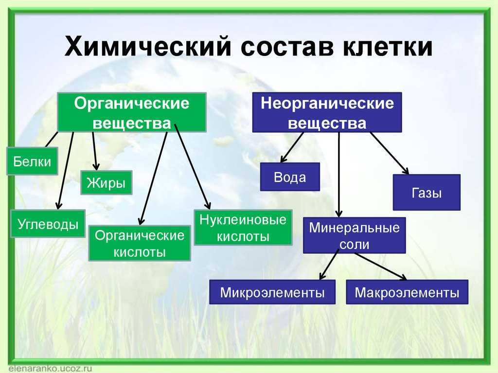 Биология пасечник учебник §3