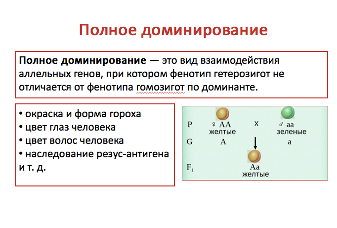 № §11гдз ответы по биологии учебник 10 класс пасечник, линия жизни