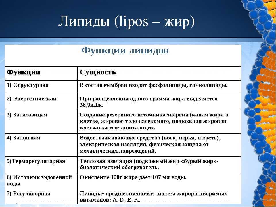 Гдз решебник по биологии 10 класс пасечник, швецов рабочая тетрадь дрофа