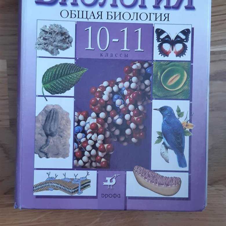 Гдз по биологии 10 класс учебник пасечник, каменский, рубцов