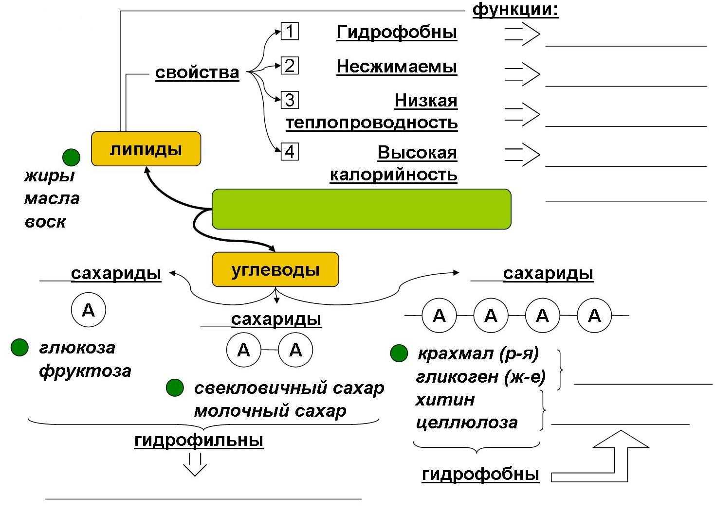 Гдз по биологии за 10 класс  пасечник, каменский базовый уровень