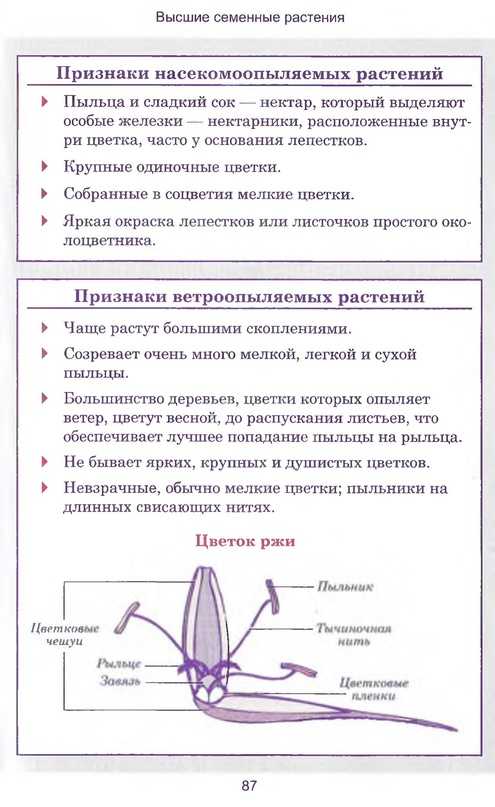 Гдз решебник рабочая тетрадь биология 9 класс линия жизни пасечник