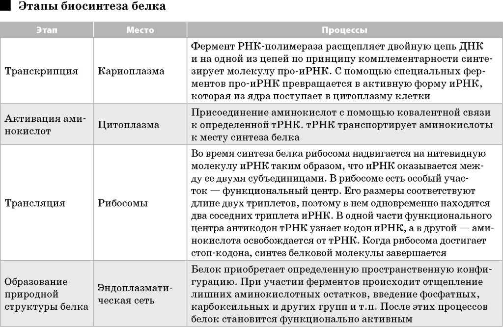 Гдз: биология 10 класс пасечник, швецов - рабочая тетрадь