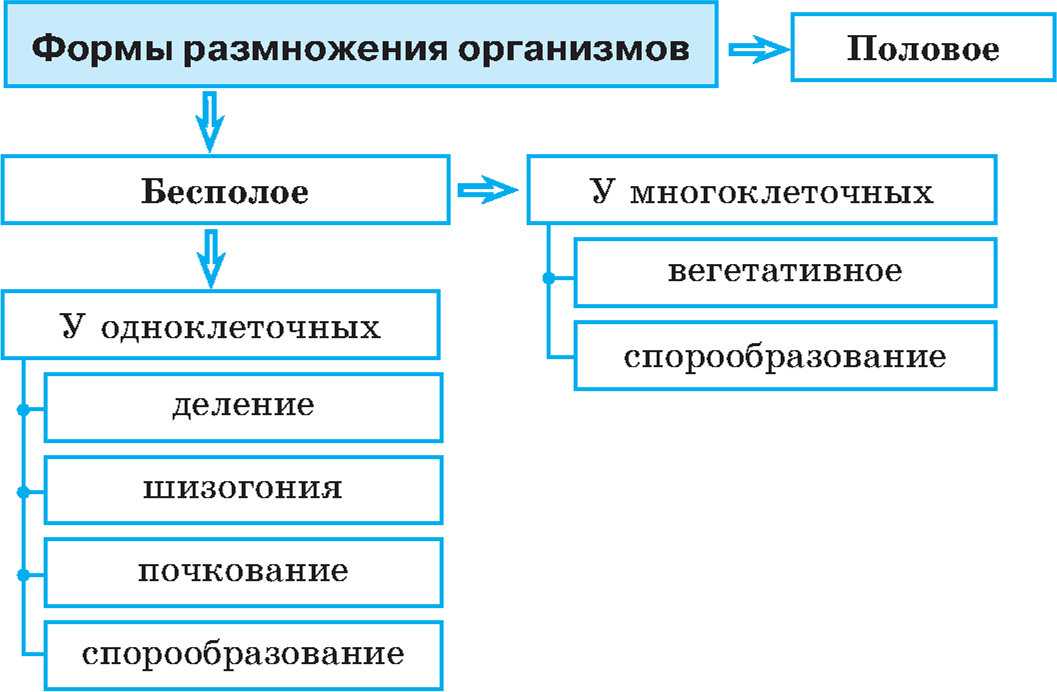 Половое и бесполое размножение организмов: виды, характеристики, примеры для урока биологии в 9 классе