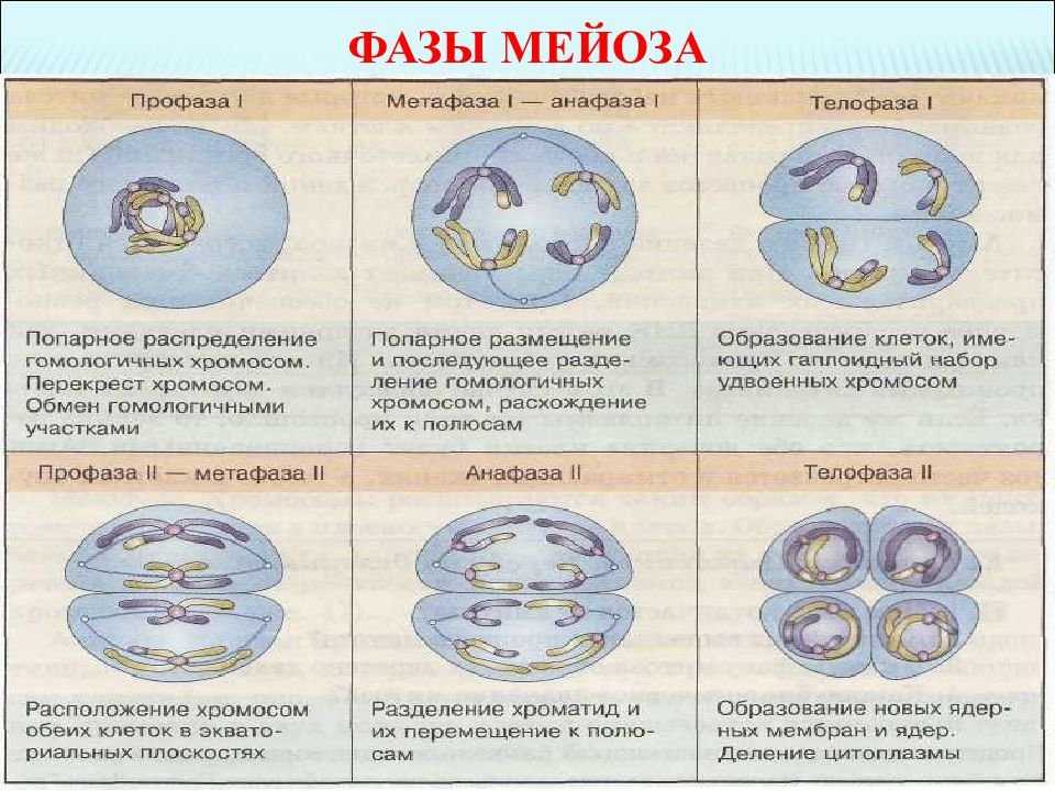Заклятие