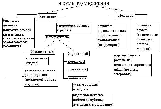 Гдз и решебник биология 9 класс пасечник, швецов - рабочая тетрадь