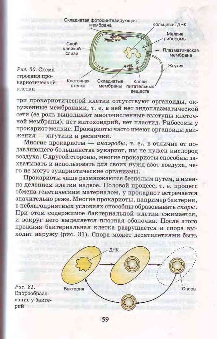 Гдз биология учебник линия жизни за 5-6 класс пасечник, суматохин  просвещение 2020  фгос