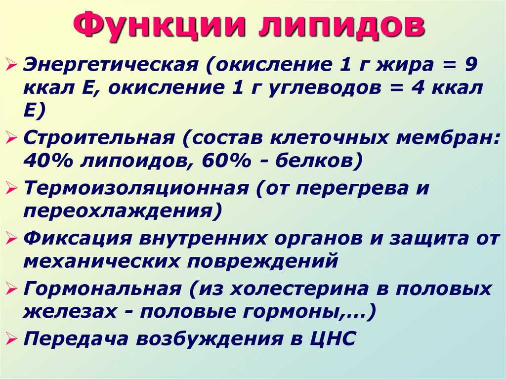 Гдз рф - готовые ответы по биологии для 10 класса  пасечник в.в., каменский а.а. линия жизни базовый уровень просвещение