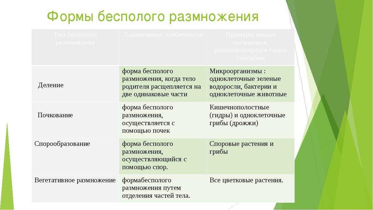 Гдз по биологии 5 класс пасечник, суматохин, учебник просвещение 2023