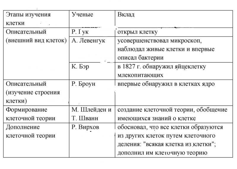 Гдз §15. клеточный уровень: общая характеристика. клеточная теория к учебнику биология 10 класс линия жизни, пасечник