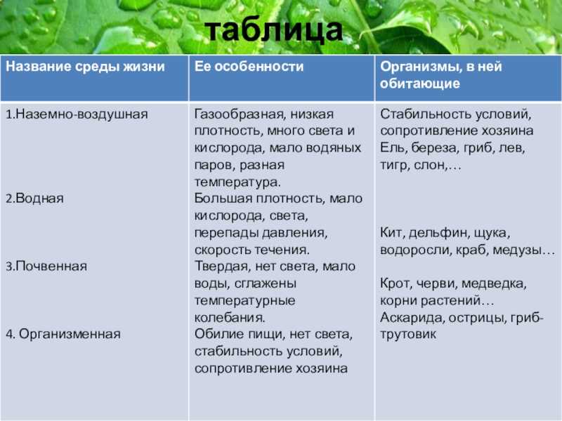 Вопросы к параграфу 4 — гдз по биологии 5 класс учебник пасечник